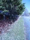IMG_1295