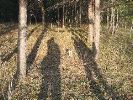 IMG_1318