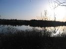 IMG_1319